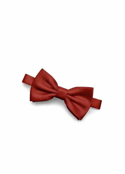 Gentlemen's Collection Boy's Matte Satin pre-tied bow tie